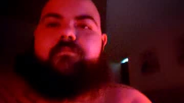 stallion_bear