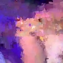 stayhigher11's Profile Picture