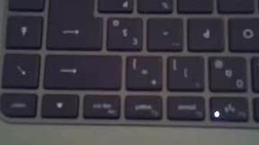 Recent Screenshot of  steflab