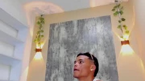 Recent Screenshot of  steiner_goldberg