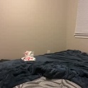 stellacruzz's Profile Picture