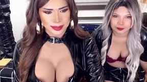 हाल ही का स्ट्रीनिॉट stephanny_heart