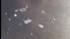 Recent Screenshot of  stewietheboy