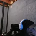 stonedpanda77's Profile Picture