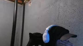 Recent Screenshot of  stonedpanda77
