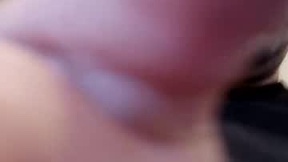 Recent Screenshot of  stonerllamas