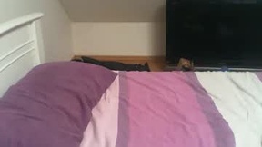 Recent Screenshot of  stopush