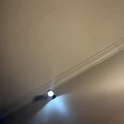 strawberrishortcake1's Profile Picture