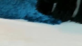 Recent Screenshot of  susanadams1