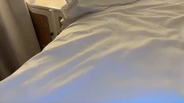 sweety_kate_sammy