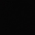 swegus's Profile Picture