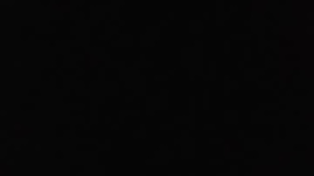 Recent Screenshot of  swegus