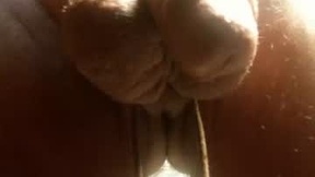 Recent Screenshot of  switchngears