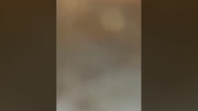 Recent Screenshot of  tacoman1107