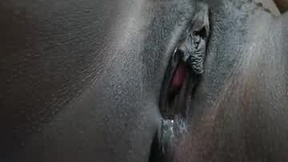 Recent Screenshot of  tarajeen