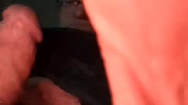 teddstiff
