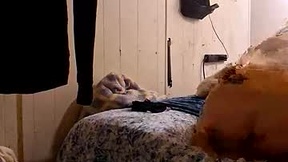 Recent Screenshot of  teeheehee92424