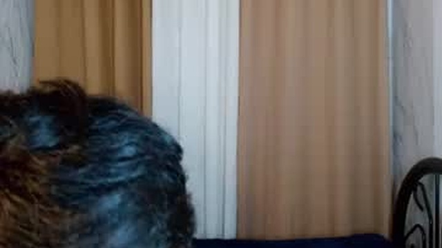 teffi_morgan