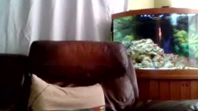 tekken76