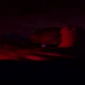 teoqv's Profile Picture
