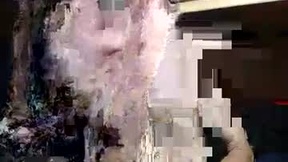 Recent Screenshot of  terdy2366