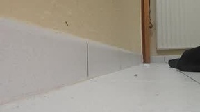 Recent Screenshot of  tfouslamx