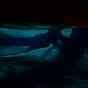 theangel399's Profile Picture