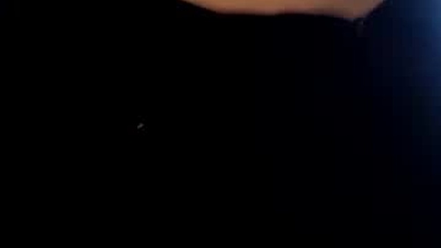 theauroravee