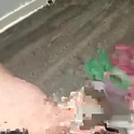 theeslyfox's Profile Picture