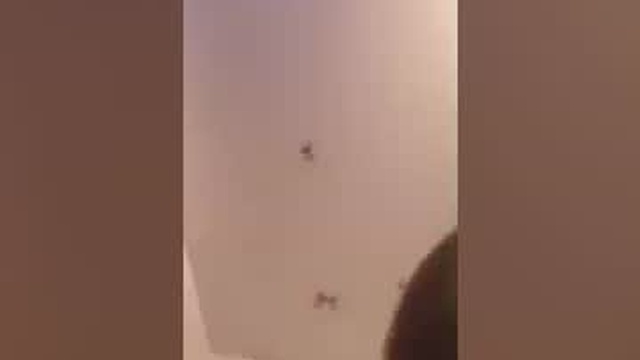 theesweetestshygrl1