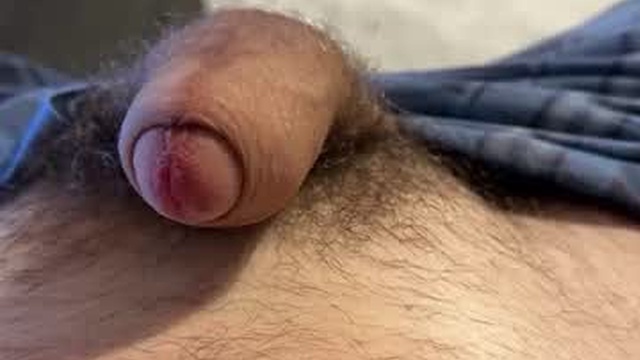 thegermanguy81