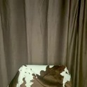 thejanebird's Profile Picture