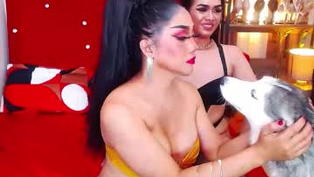 thelustqueen