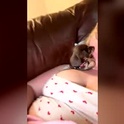 themommypeach's Profile Picture