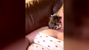 Recent Screenshot of  themommypeach