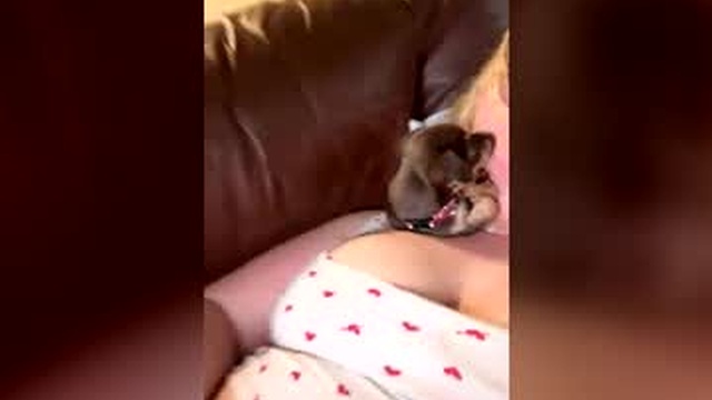 themommypeach