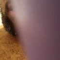 thick_cock_al's Profile Picture