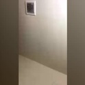 three2raww's Profile Picture