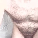 tiddleypom's Profile Picture