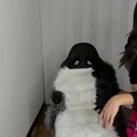 tiffanyclark__'s Profile Picture
