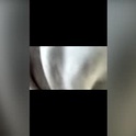 tim0451's Profile Picture