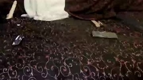 Recent Screenshot of  tina52015