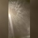 tinox693962's Profile Picture