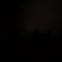 tiosamma916's Profile Picture