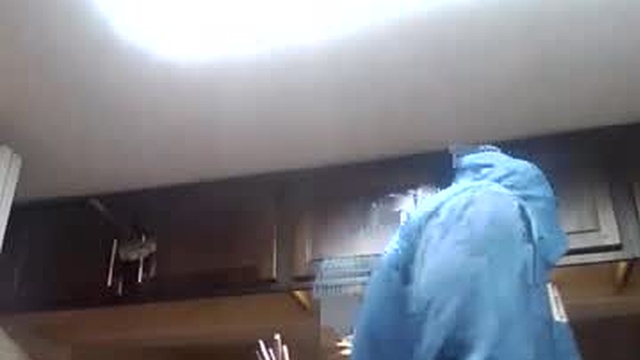 tipthekittenxo