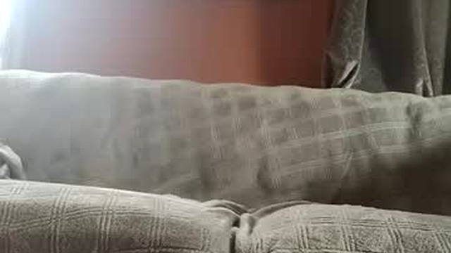tnt_tinyntroubble
