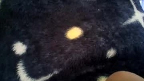 Recent Screenshot of  totonio666