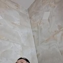 toxicanikki979's Profile Picture