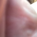 toyy_boy's Profile Picture