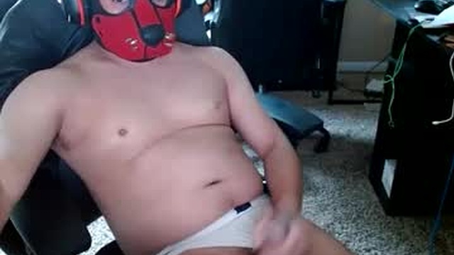 tracefox